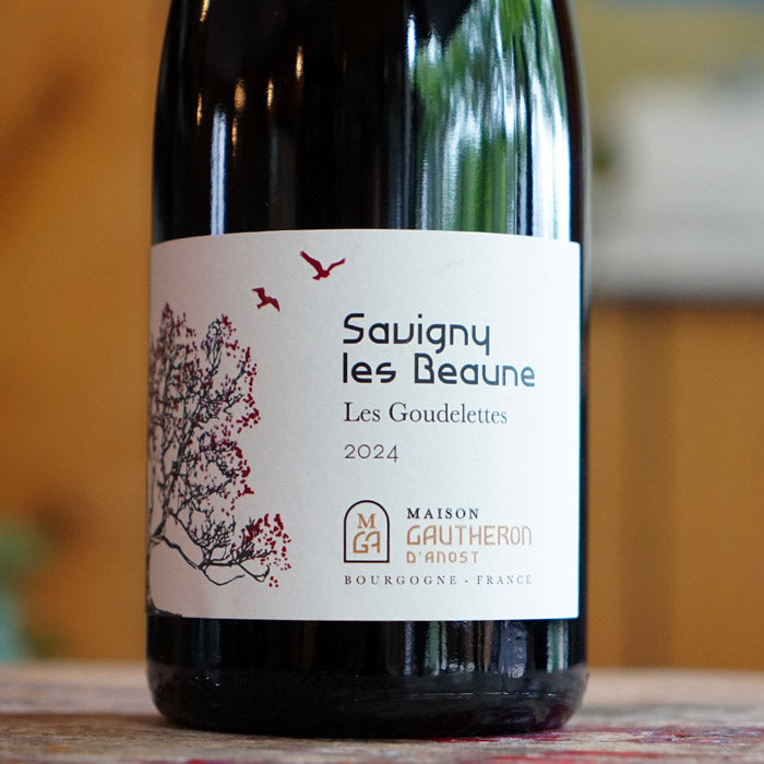 Savigny Les Beaune "Les Goudelettes" 2024 - Maison Gautheron d'Anost