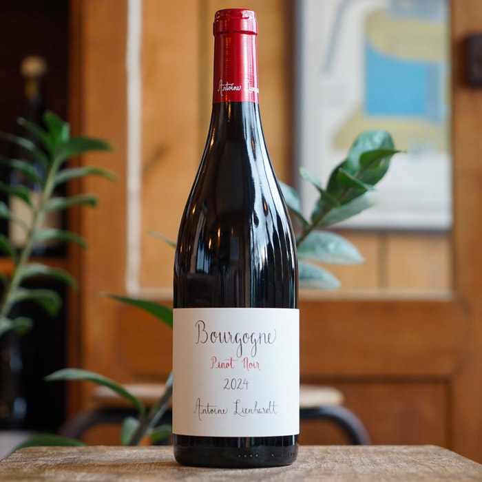 Bourgogne Rouge 2024 - Antoine Lienhardt
