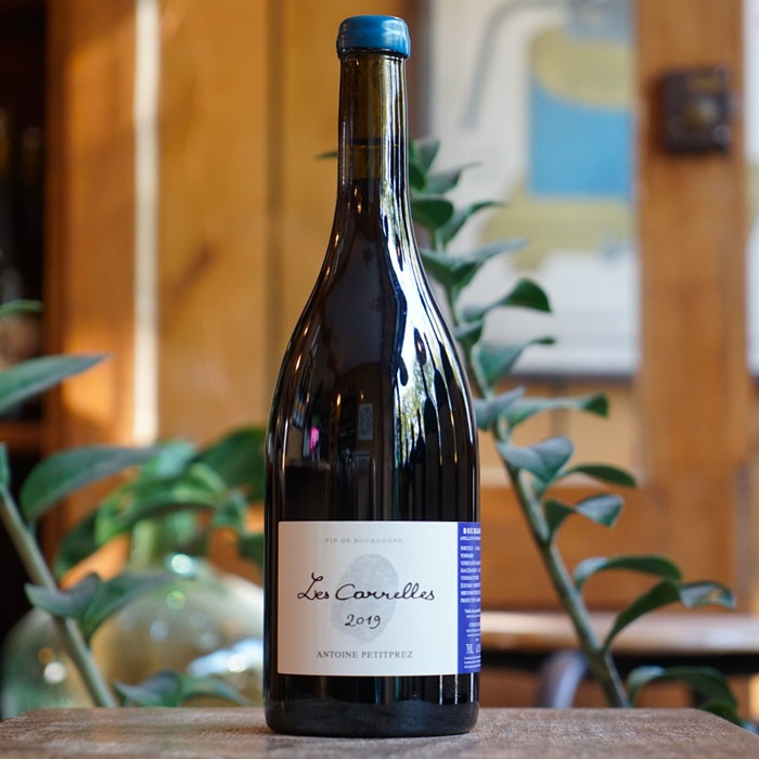 Bourgogne Rouge "Les Carrelles" 2019 - Antoine Petitprez