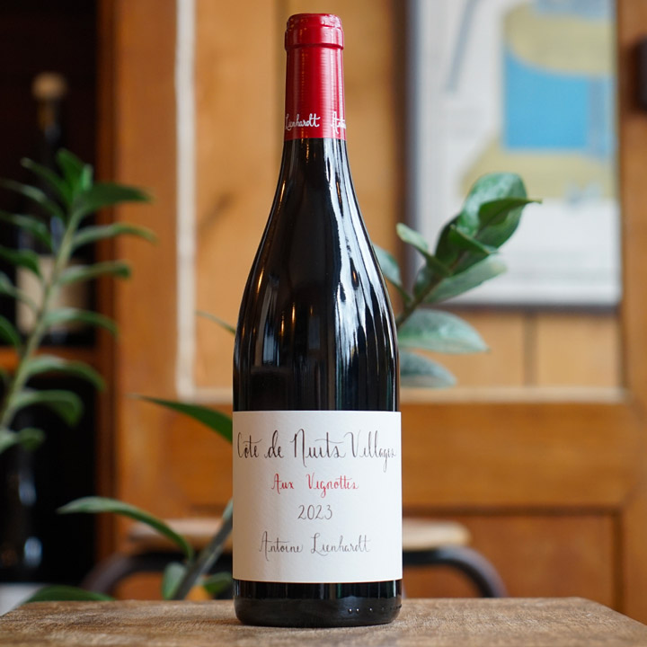 Côte de Nuits Villages "Aux Vignottes" 2023 - Antoine Lienhardt