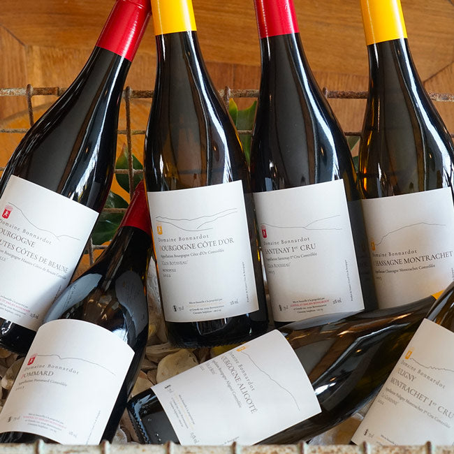 Aligoté "Sur le Bois" 2022 - Domaine Bonnardot