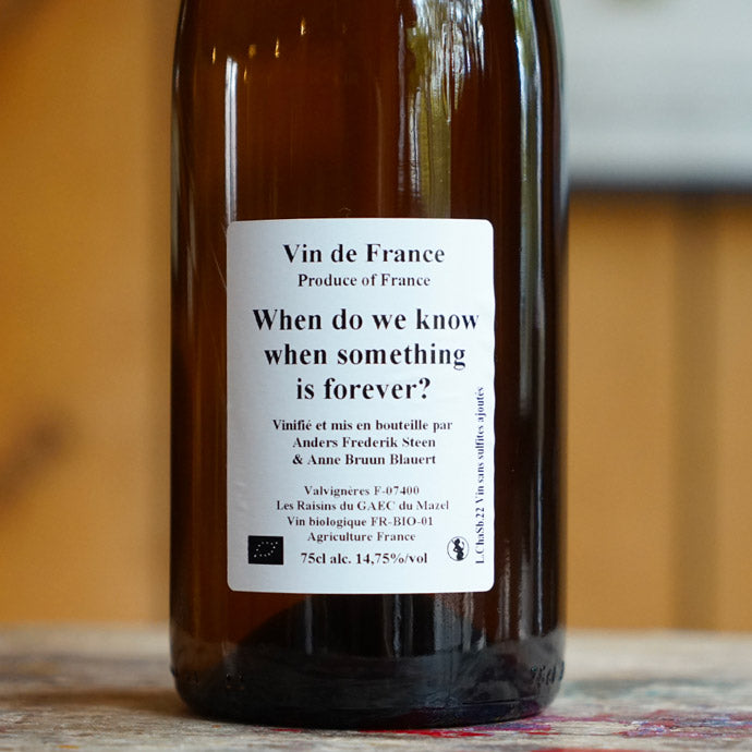 When do we know when something is forever? 2022 - Anders Frederik Steen et Anne Bruun Blauert