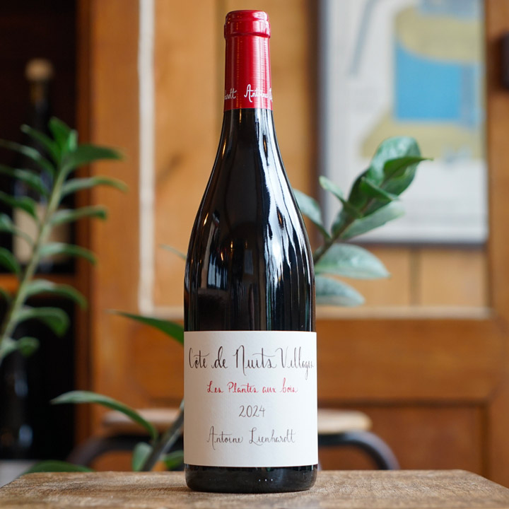 Côte de Nuits Villages "Les Plantes Aux Bois" 2024 - Antoine Lienhardt