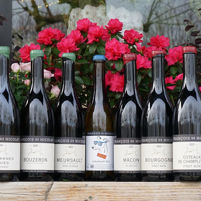 Meursault "Sous la Velle" Blanc 2022 - François de Nicolay