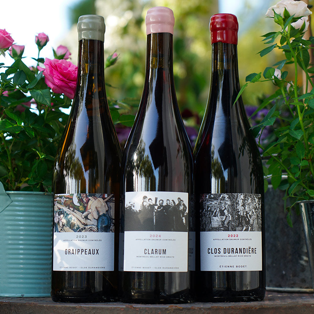 Les Graippeaux 2023 Magnum - Etienne Bodet