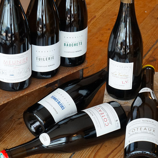 Coteaux Champenois Blanc Fontinette 2018 - Flavien Nowack