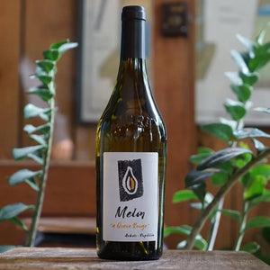 Melon à Queue Rouge 2022 - Kevin Bouillet