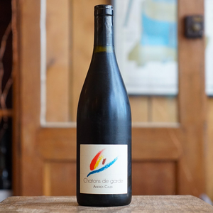 Chatons de Garde 2022 - Andrea Calek