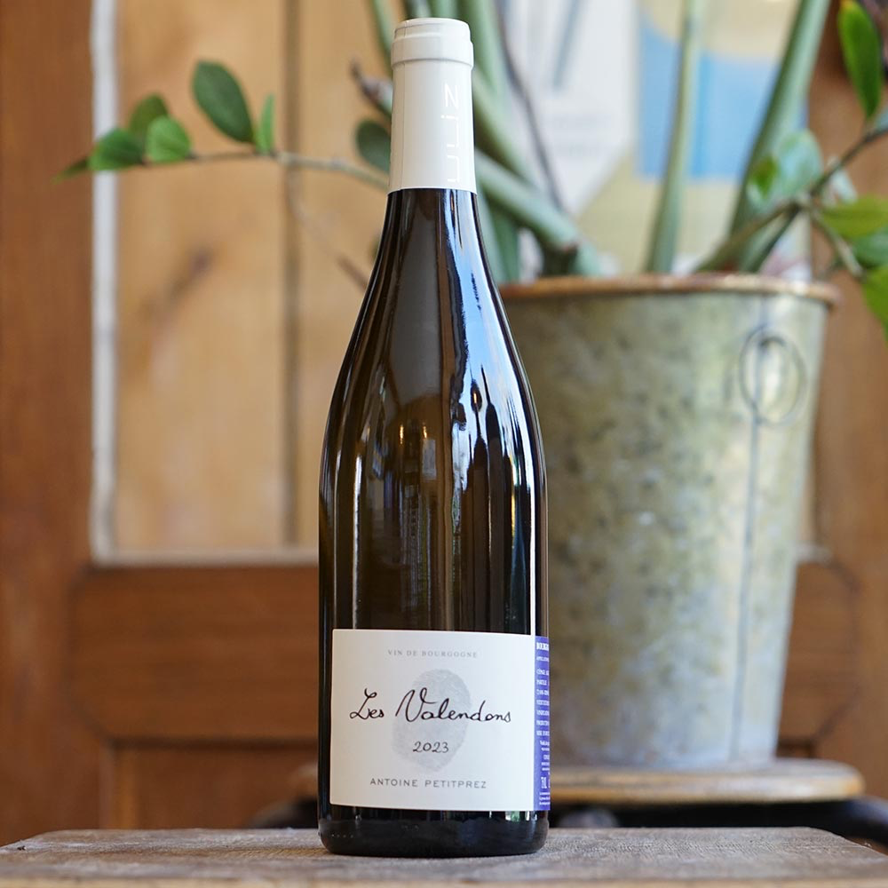 Bourgogne Aligoté "Les Valendons" 2023 - Antoine Petitprez