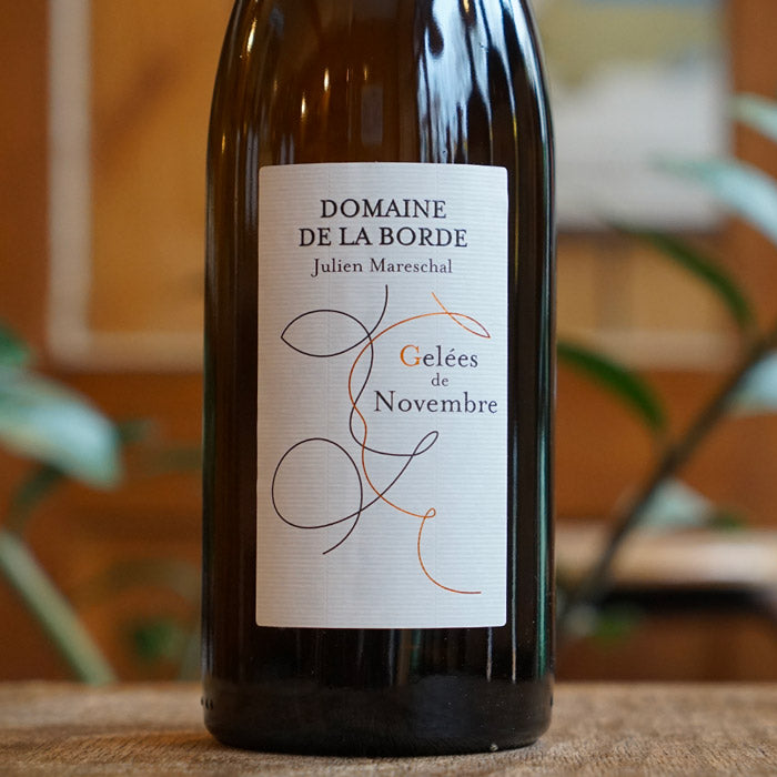 Gelée de Novembre 2020 - Domaine de la Borde - Marée Haute Vins