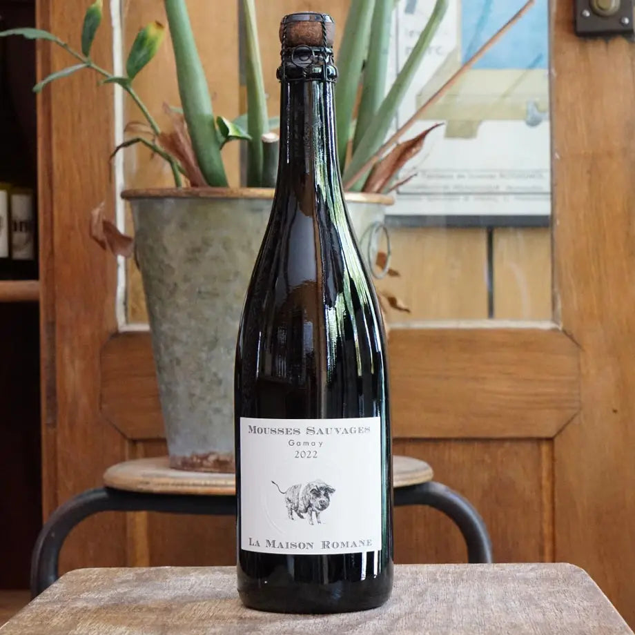Mousses Sauvages Gamay 2022 - La Maison Romane
