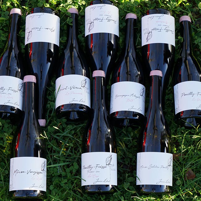 Pouilly-Fuissé "Simplexité" 2023 - Jessica Litaud