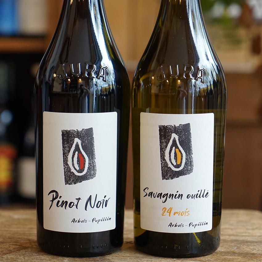 Pinot Noir 2023 - Kevin Bouillet