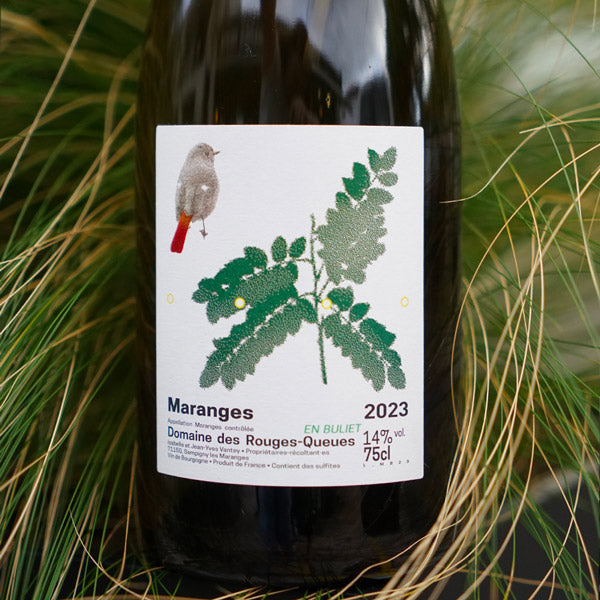 Maranges Blanc en Buliet 2023 - Domaine des Rouges Queues