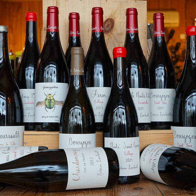 Charmes Chambertin Grand Cru 2023 - Antoine Lienhardt - Marée