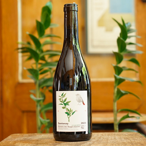 Santenay Rouge 2023 - Domaine des Rouges Queues