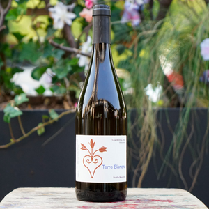Terre Blanche 2023 - Noëlla Morantin