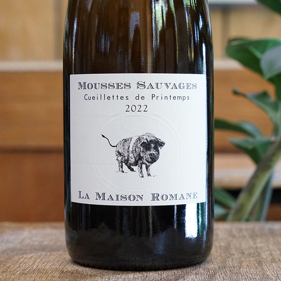 Mousses Sauvages Cueillette de Printemps 2022 - La Maison Romane