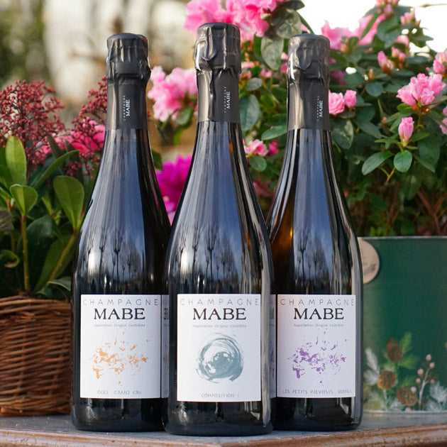 Les Petits Prevost Bonneil - Champagne MABE - Marée Haute Vins Vivants