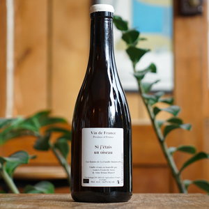 Si j'étais un Oiseau 2019 - Anders Frederik Steen et Anne Bruun Blauert