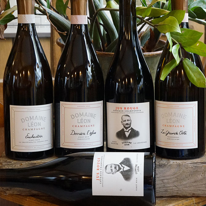 La Grande Côte R22 Magnum - Domaine Léon