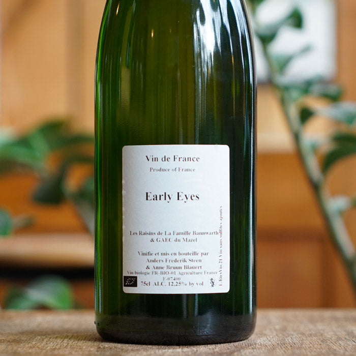 Early Eyes 2021 - Anders Frederik Steen et Anne Bruun Blauert