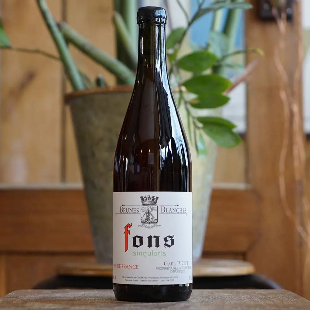 Fons Singularis 2022 - Gaël Petit