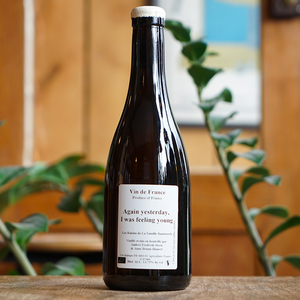 Again yesterday, I was feeling young 2022 - Anders Frederik Steen et Anne Bruun Blauert