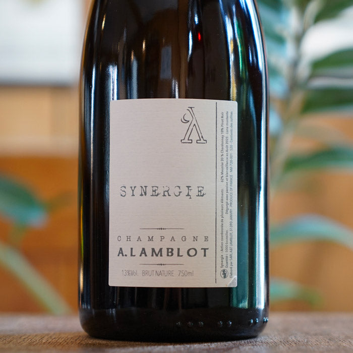 飲料・酒 A.Lamblot Intuition Nature シャンパン 750ml
