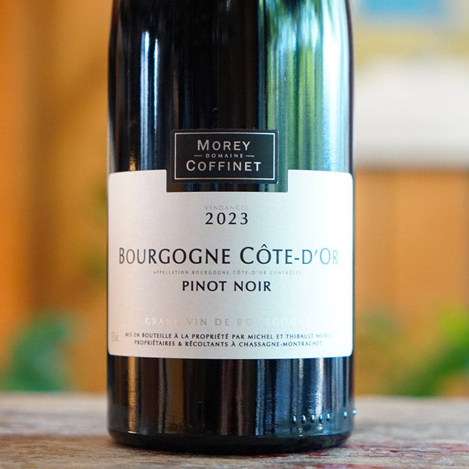 Bourgogne Cote d'Or Rouge 2023 - Domaine Morey-Coffinet