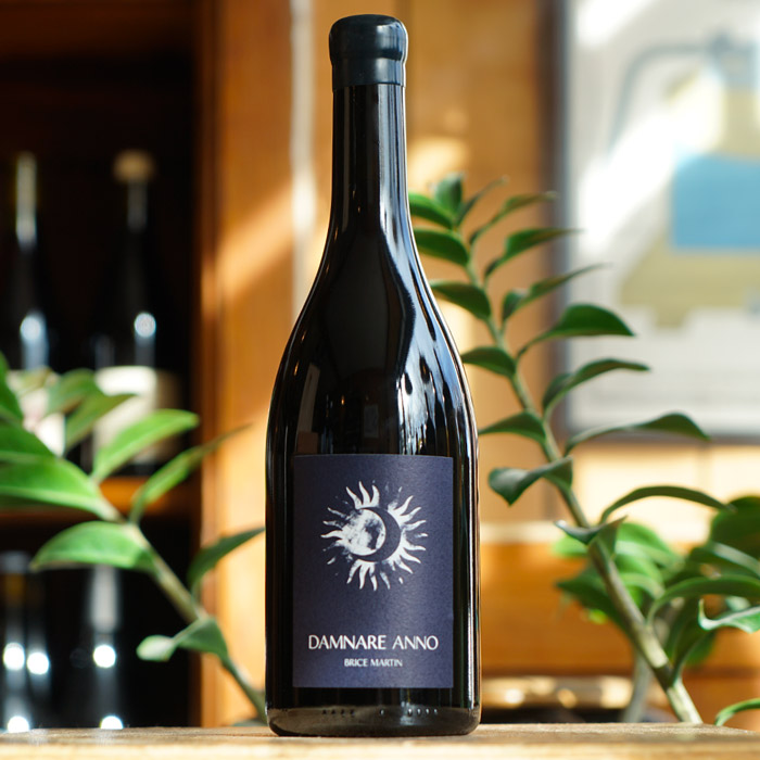 Damnare Anno 2024 - Brice Martin