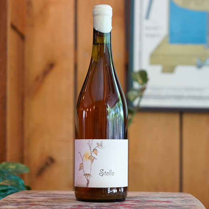 Stella 2023 - Simon Bousquet