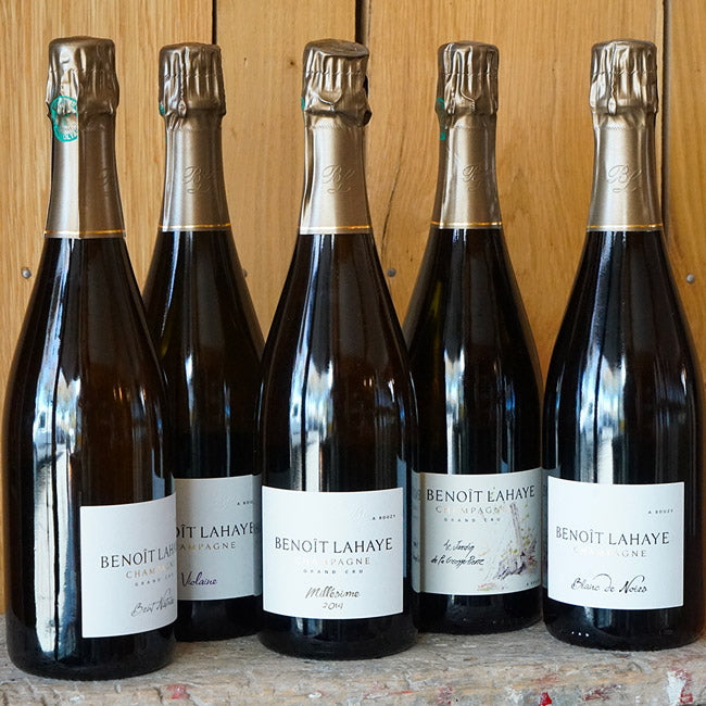 Violaine - Benoît Lahaye - Marée Haute Vins Vivants