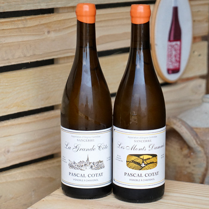 Sancerre "La Grande Côte" 2024 - Pascal Cotat