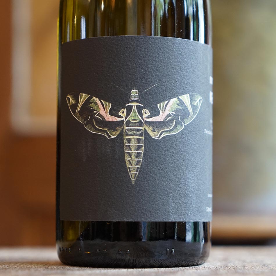 Maccabeu 2023 - Domaine Ledogar