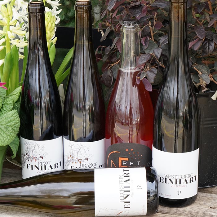 Alsace 2024 - Domaine Einhart