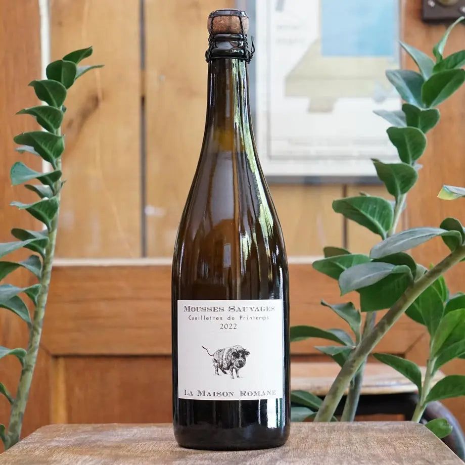 Mousses Sauvages Cueillette de Printemps 2022 - La Maison Romane