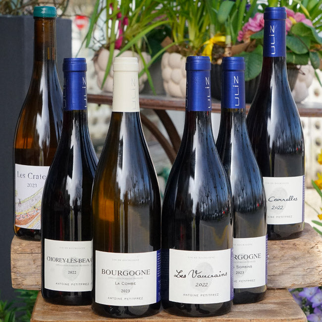 Bourgogne Rouge "Les Sorbins" 2023 - Antoine Petitprez