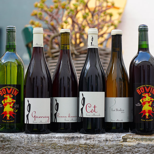 Pineau d'Aunis 2023 - Hervé Villemade