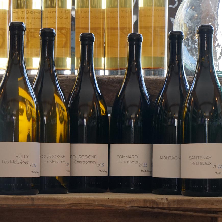 Santenay Le Biévaux 2022 Magnum - Marthe Henry