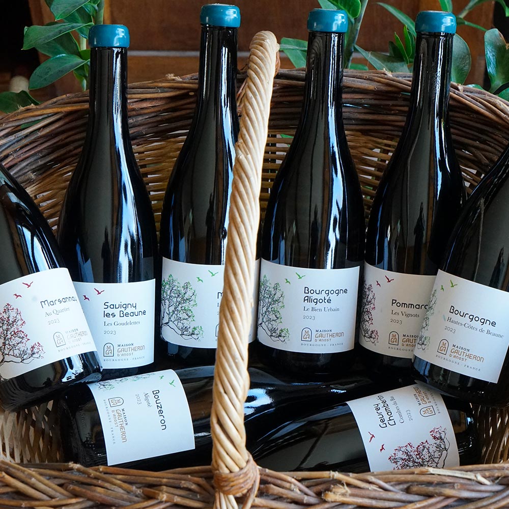 Hautes Côtes de Beaune Blanc 2023 - Maison Gautheron d'Anost