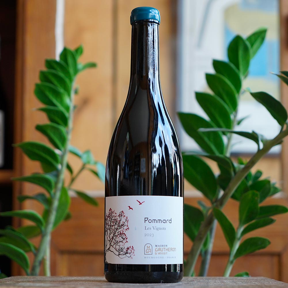 Pommard "Les Vignots" 2023 - Maison Gautheron d'Anost
