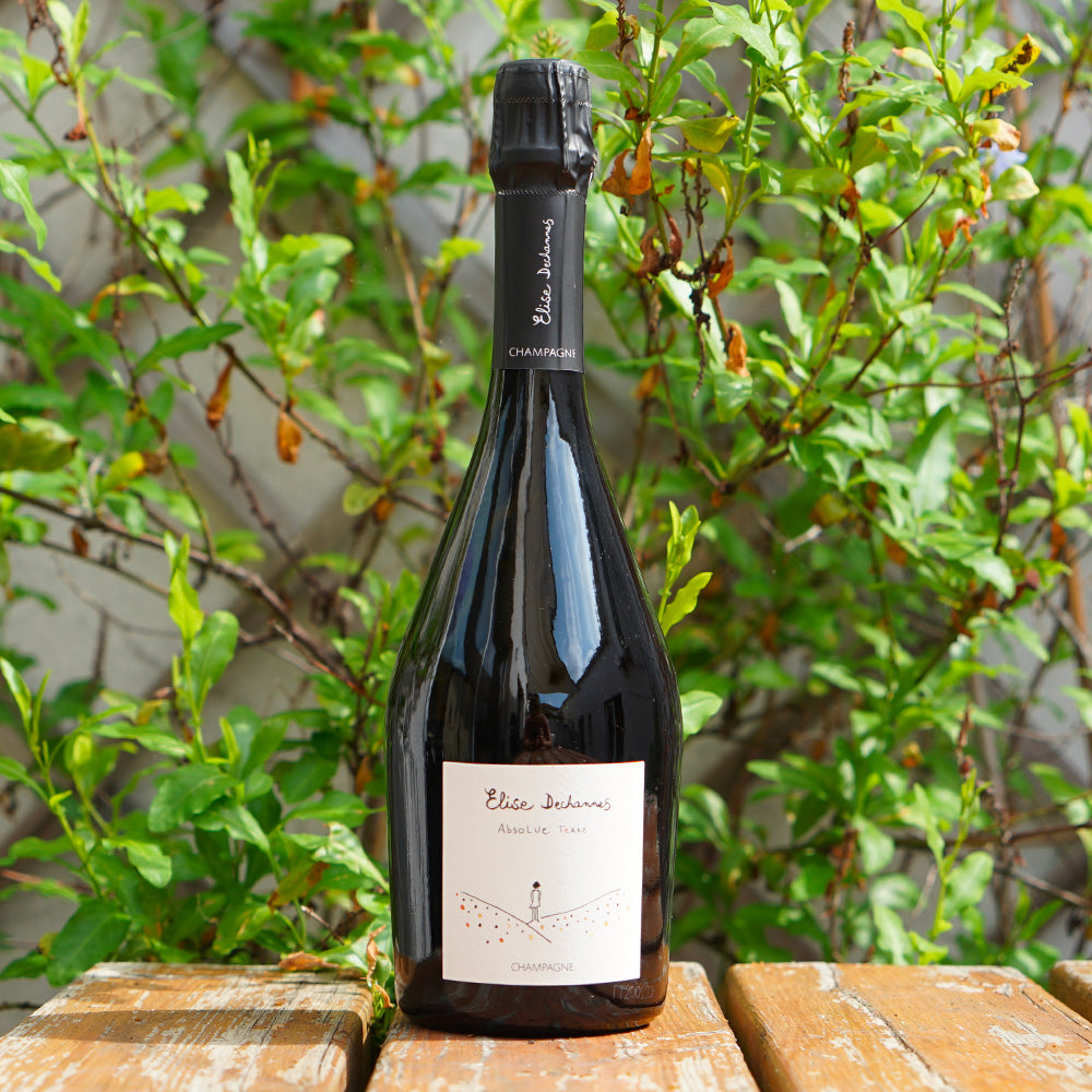 Absolue Terre 2019 - Elise Dechannes