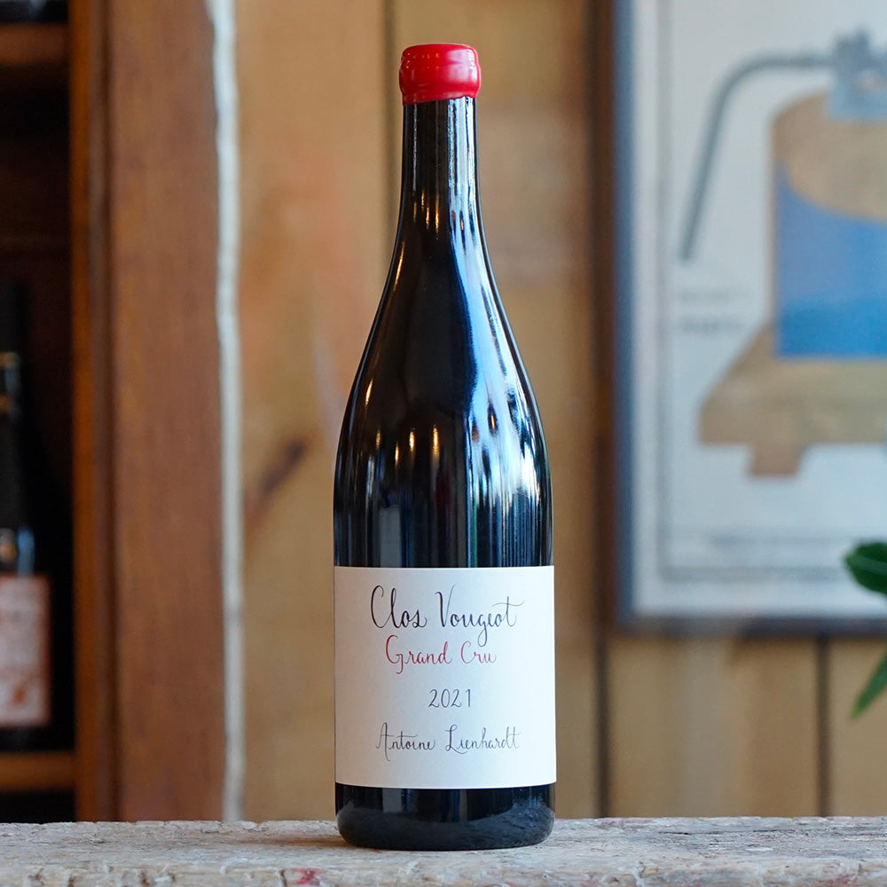 Clos de Vougeot 2021 - Antoine Lienhardt