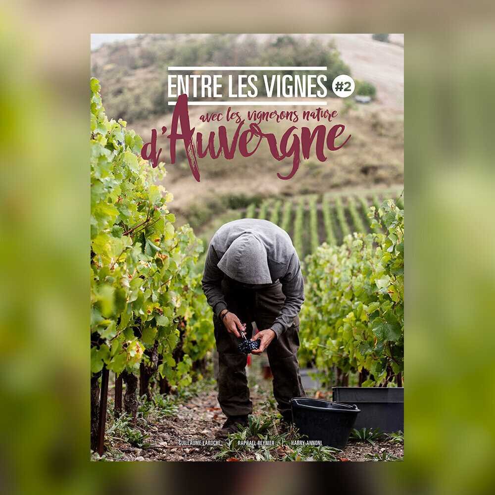 Entre les vignes - Auvergne