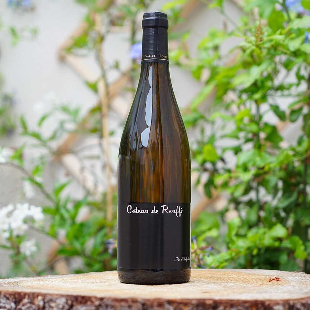 Coteau de Reuffé 2020 - Domaine Alcofribas