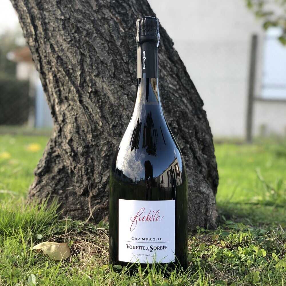 Fidèle R19 Magnum - Vouette & Sorbée