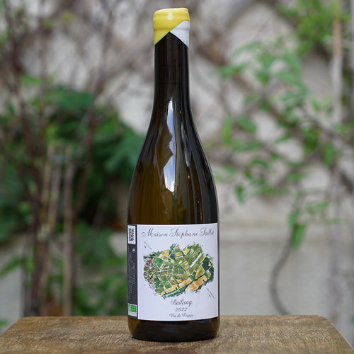Riesling 2022 - Stéphane Saillet