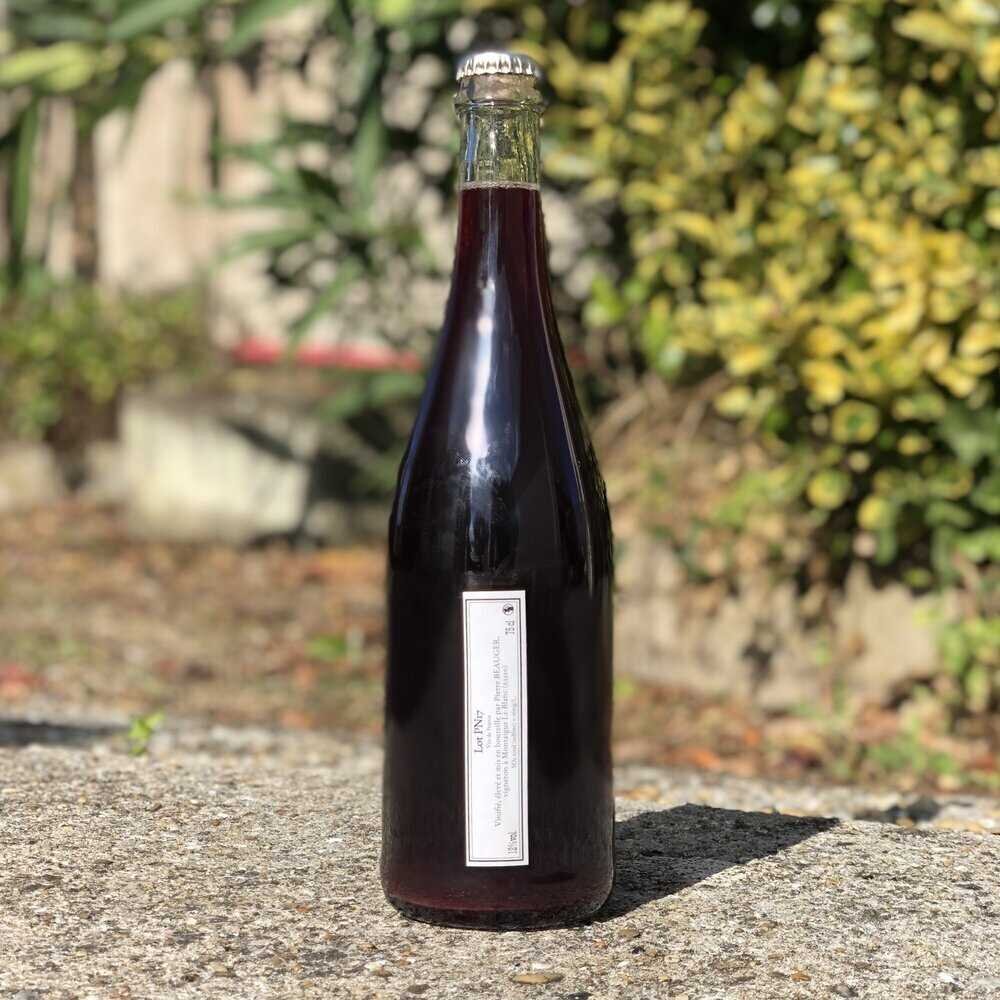 Pinot Noir - Pierre Beauger