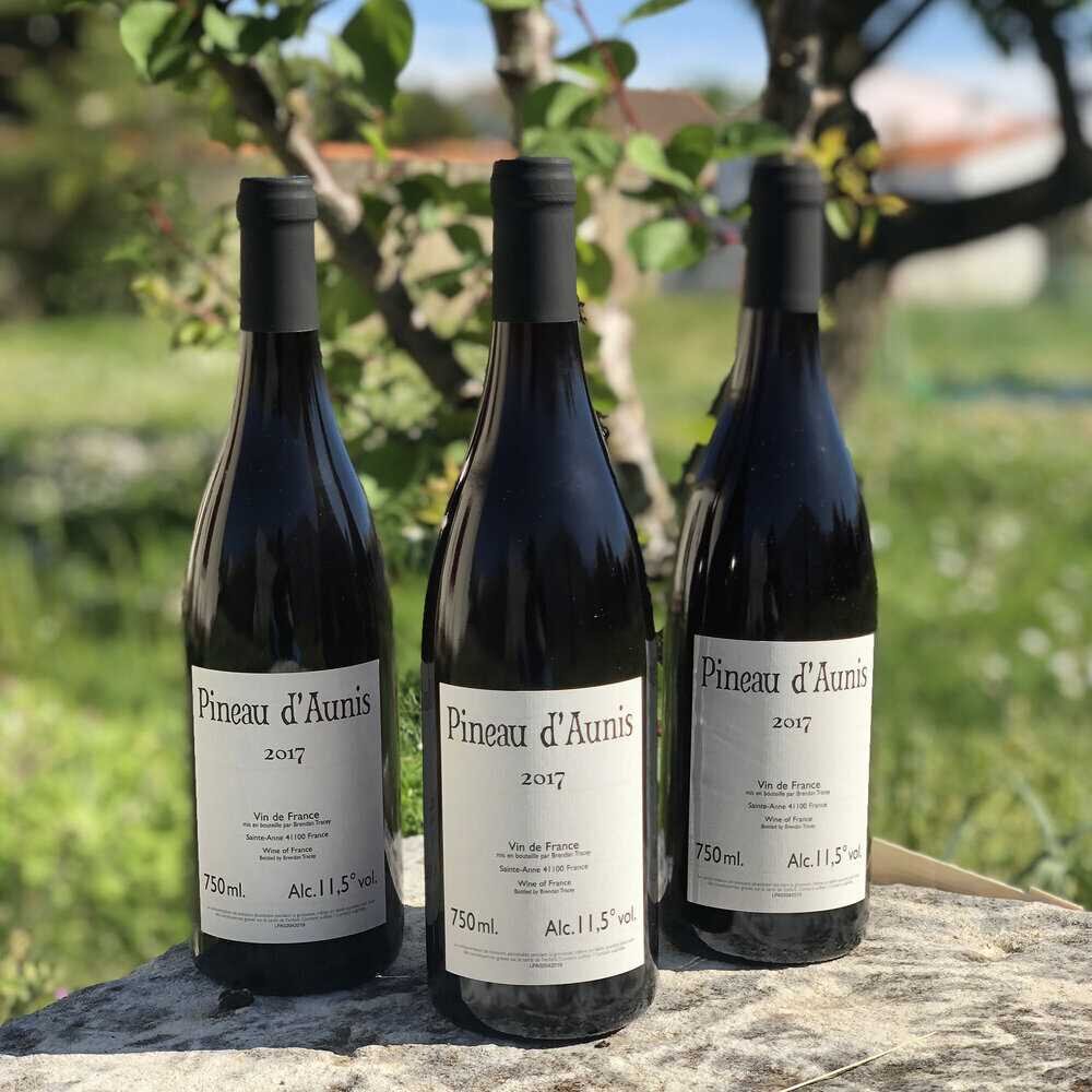 Pineau d'Aunis - Brendan Tracey